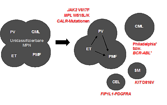 Labor, Abb1